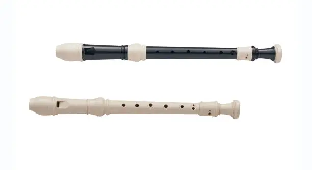 Recorder instrument isolated on white background with clipping mask.