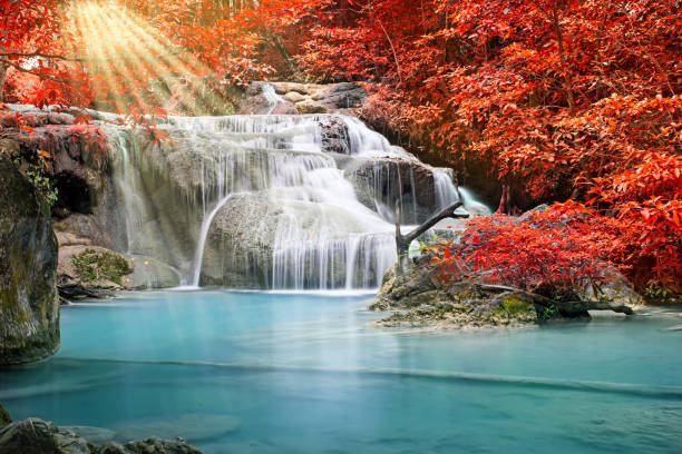 istock Beautiful waterfall in autumn forest 682535252