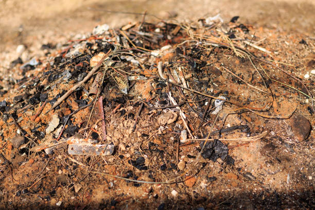 istock A lot of garbage 682536216