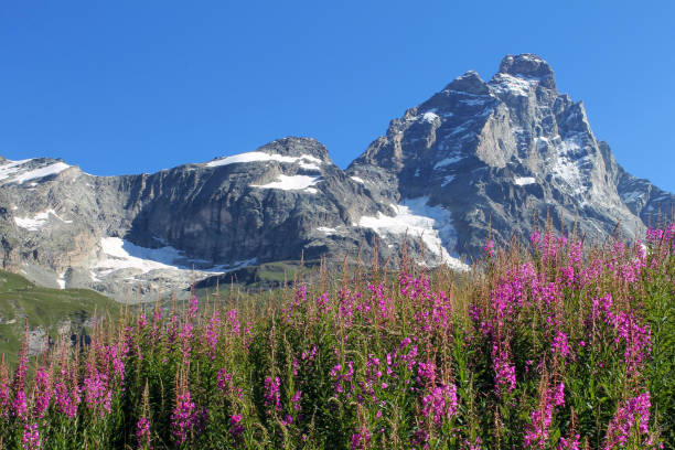 istock Monte Cervino Matterhorn from italian side Breuil-cervinia 682543178