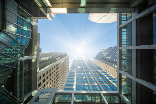 istock White dove fly over office buildings 682546960