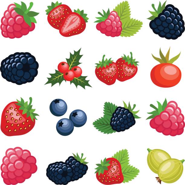 ilustraciones, imágenes clip art, dibujos animados e iconos de stock de fruta baya - blackberry blueberry raspberry fruit