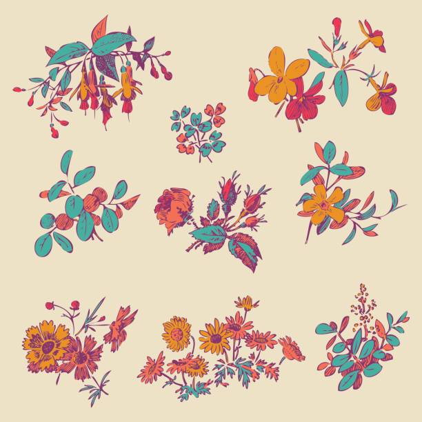 istock Meadow flower and leaf set vector isolated on beige, floral dood 682550446