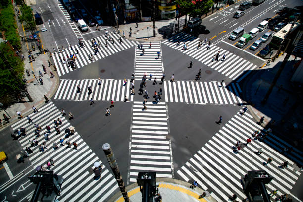 istock Look at the crosswalk of the scrambled intersection from above 682551046