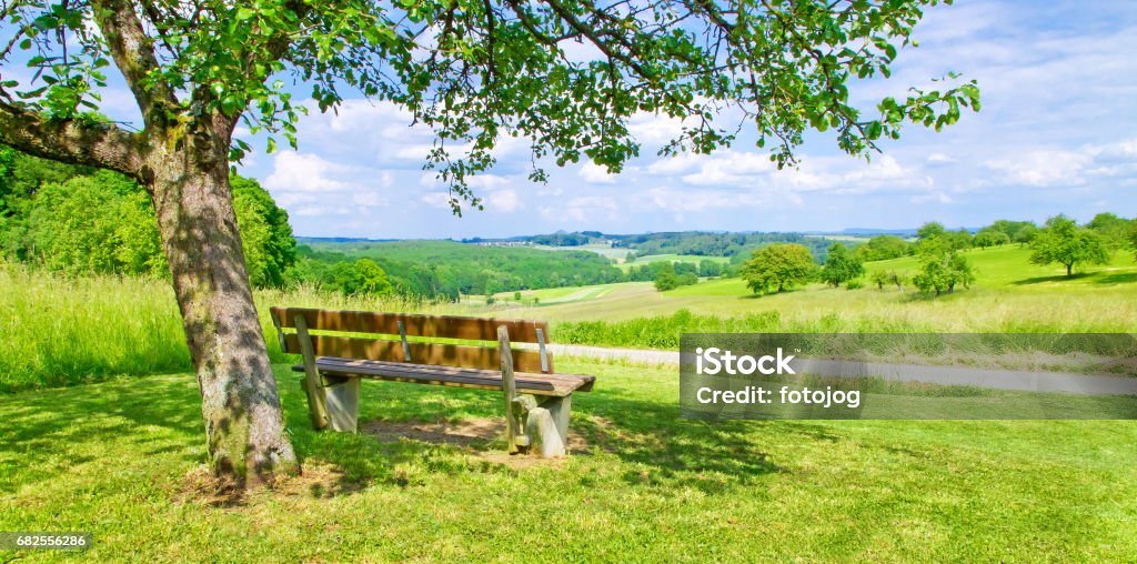 Bench in the nature Bench in an summer landscape - Baden Württemberg, Germany Pension Stock Photo