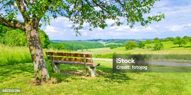 Bench In The Nature Stock Photo - Download Image Now - Pension, Nature, Bench