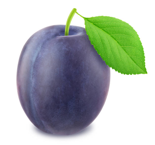 istock Ripe plum with green leaf. With clipping path 682560238
