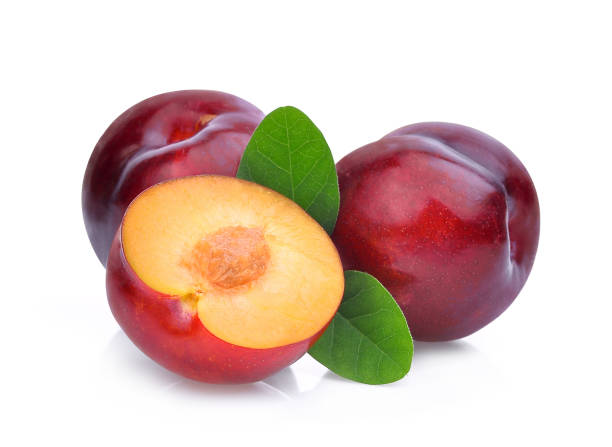 istock cherry plum with green leaves isolated on white background 682560346