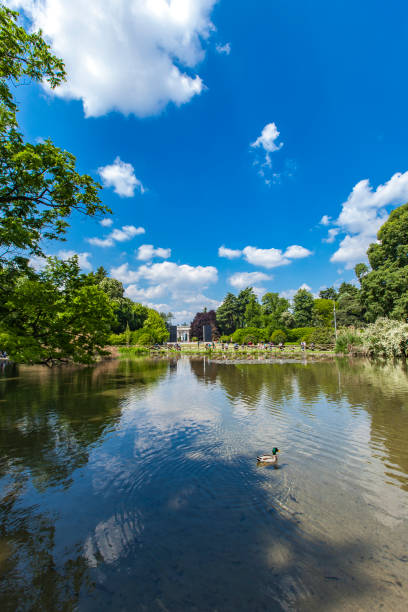 istock Sempione Park in Milan 682564418