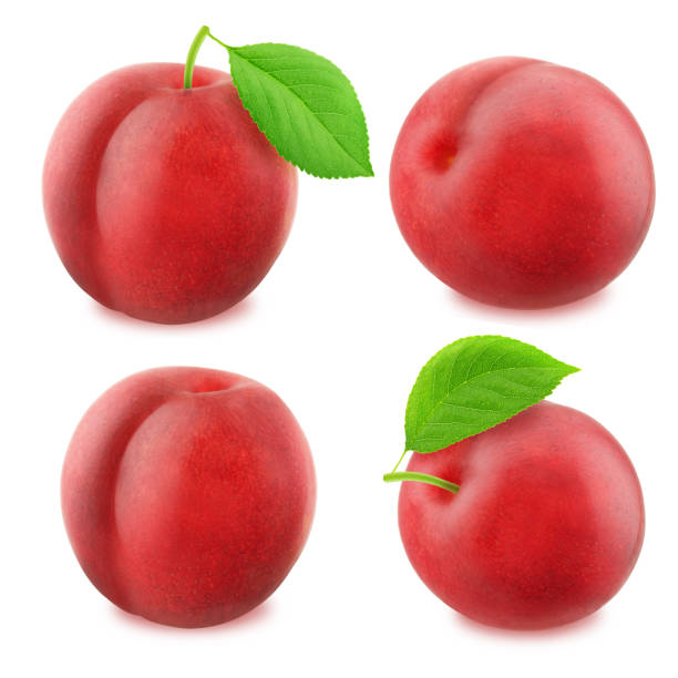 istock Set of juicy red plums isolated 682565468