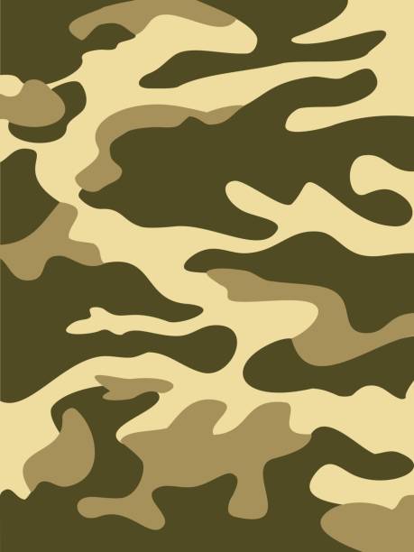 1,900+ Orange Camouflage Backgrounds Stock Illustrations, Royalty-Free ...