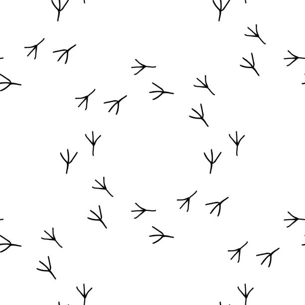 ilustrações de stock, clip art, desenhos animados e ícones de bird foot prints vector. seamless pattern footprint. - bird footprint