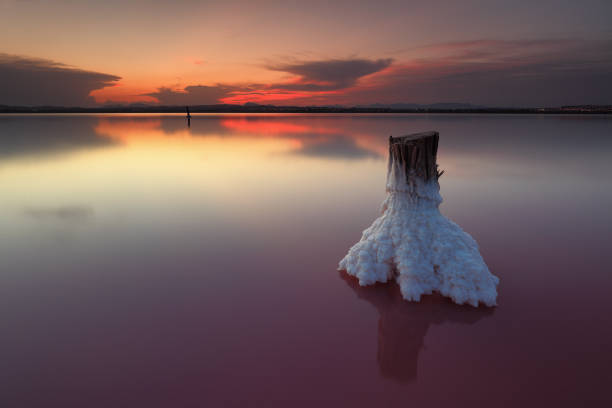 Peaceful sunset in salt lake stock photo