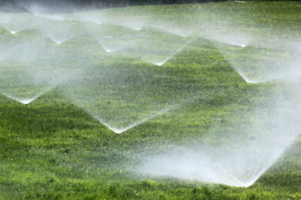 istock Sprinklers on a green lawn 682582782