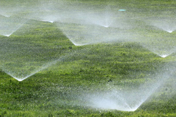 istock Sprinklers on a green lawn 682582824