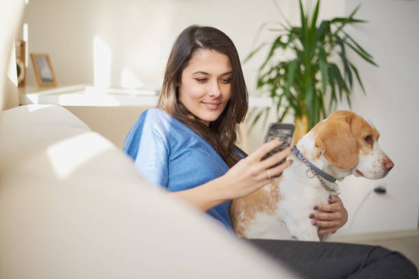 istock Woman talking on the phone and sitting on sofa 682585612