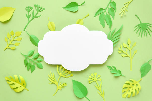 istock Trendy Summer Tropical Leaves 682596846