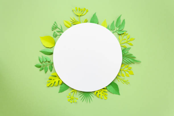 istock Trendy Summer Tropical Leaves 682596848