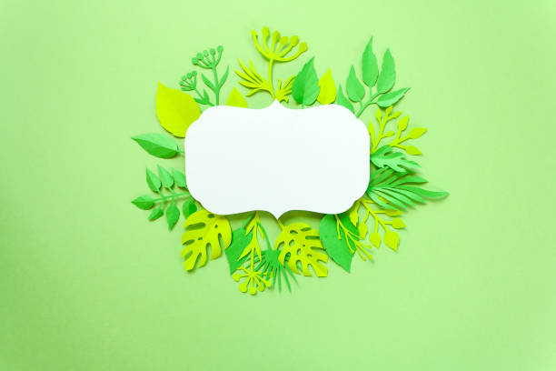 istock Trendy Summer Tropical Leaves 682596854
