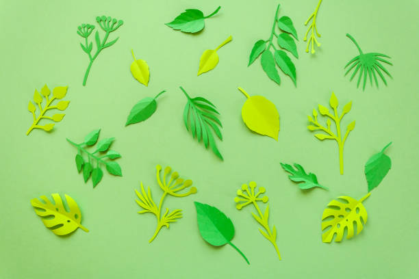istock Trendy Summer Tropical Leaves 682596856