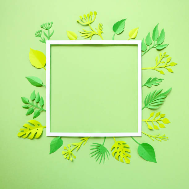 istock Trendy Summer Tropical Leaves 682596864