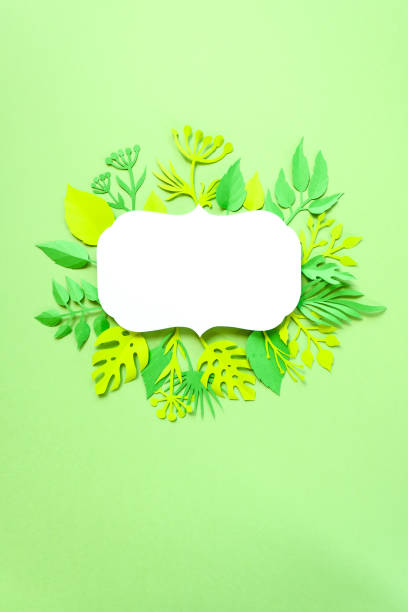 istock Trendy Summer Tropical Leaves 682596868