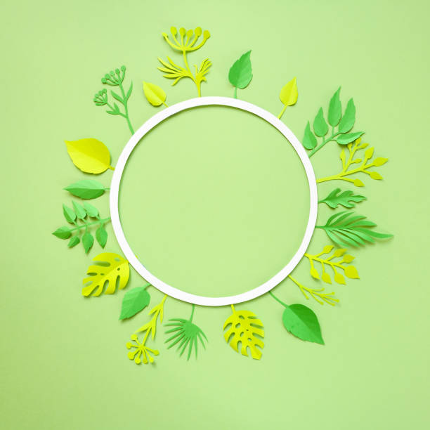 istock Trendy Summer Tropical Leaves 682596874