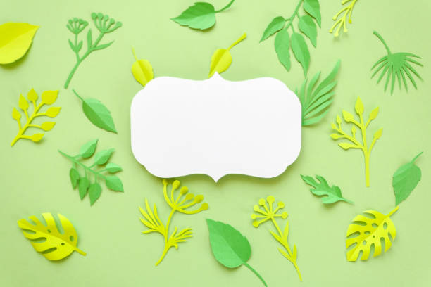 istock Trendy Summer Tropical Leaves 682596876