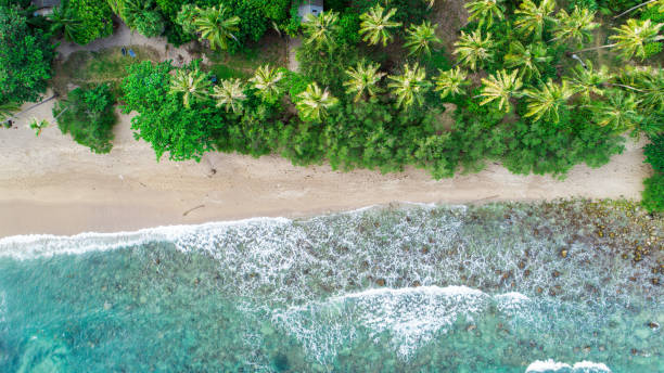 istock Sea and the beach 682600168