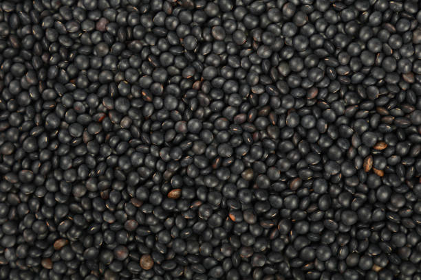 istock Black Beluga lentil lens close up background 682604326