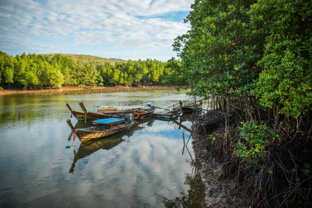 istock long tail boat in canal among banyan tree and nice beautiful sky in sunny day 682608756
