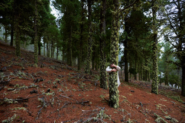 istock embrace the nature 682608966