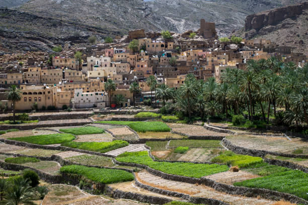 village in the mountains of oman - nizwa imagens e fotografias de stock