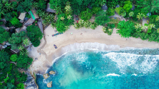 istock Sea and the beach 682621560