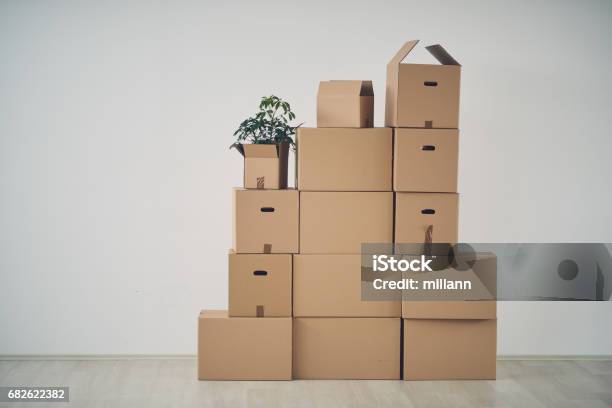 Cajas En Apartamento Nuevo Foto de stock y más banco de imágenes de Caja - Caja, Reubicación, Actividad física