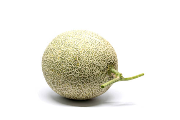 istock Melon fruit with perfect fresh green stem , isolated on white background 682645780