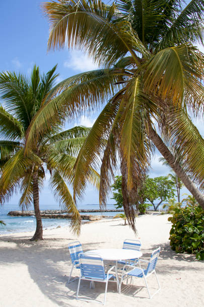 istock Vacation In Cayman Islands 682650712