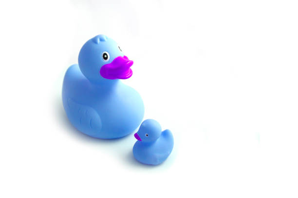 istock Big rubber duck and small duckling, isolated on a white background. 682654492