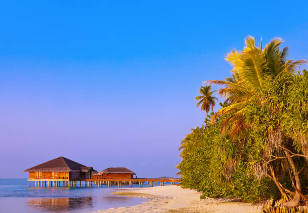 istock Spa saloon on Maldives island 682668192
