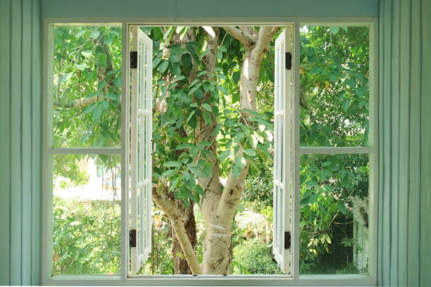 istock Old vintage objects wood concept. Old vintage window opening and see the view. 682669208