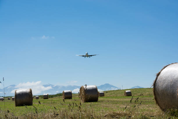 Grass roll and airplane Grass roll and airplane with summer blue sky 飛行機 stock pictures, royalty-free photos & images