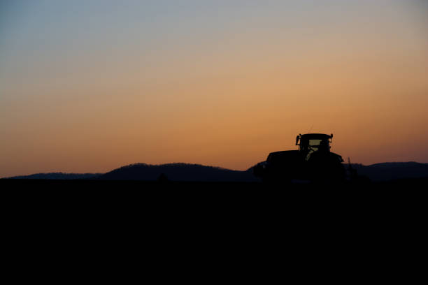 istock Farm work at dusk with beautiful sunset sky 682679750