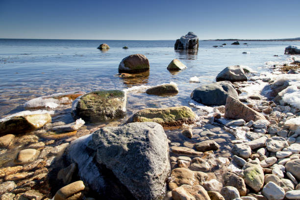 istock Seashore in Estonia on the Baltic sea. 682679854