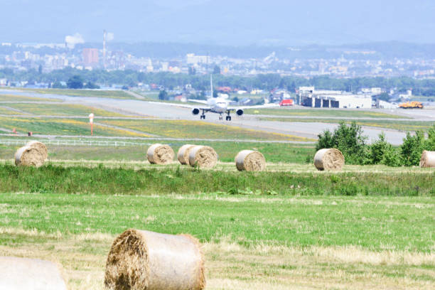 grass roll spreads and airport grass roll spreads and airport in Hokkaido Japan 飛行機 stock pictures, royalty-free photos & images