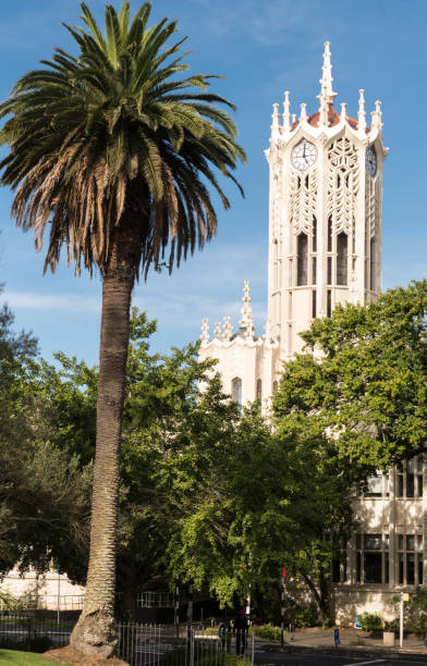 Clock tower of Auckland University. Auckland, New Zealand - March 5, 2017: White clock tower of Auckland University balanced by tall palm tree and with other green trees in front. albert park stock pictures, royalty-free photos & images