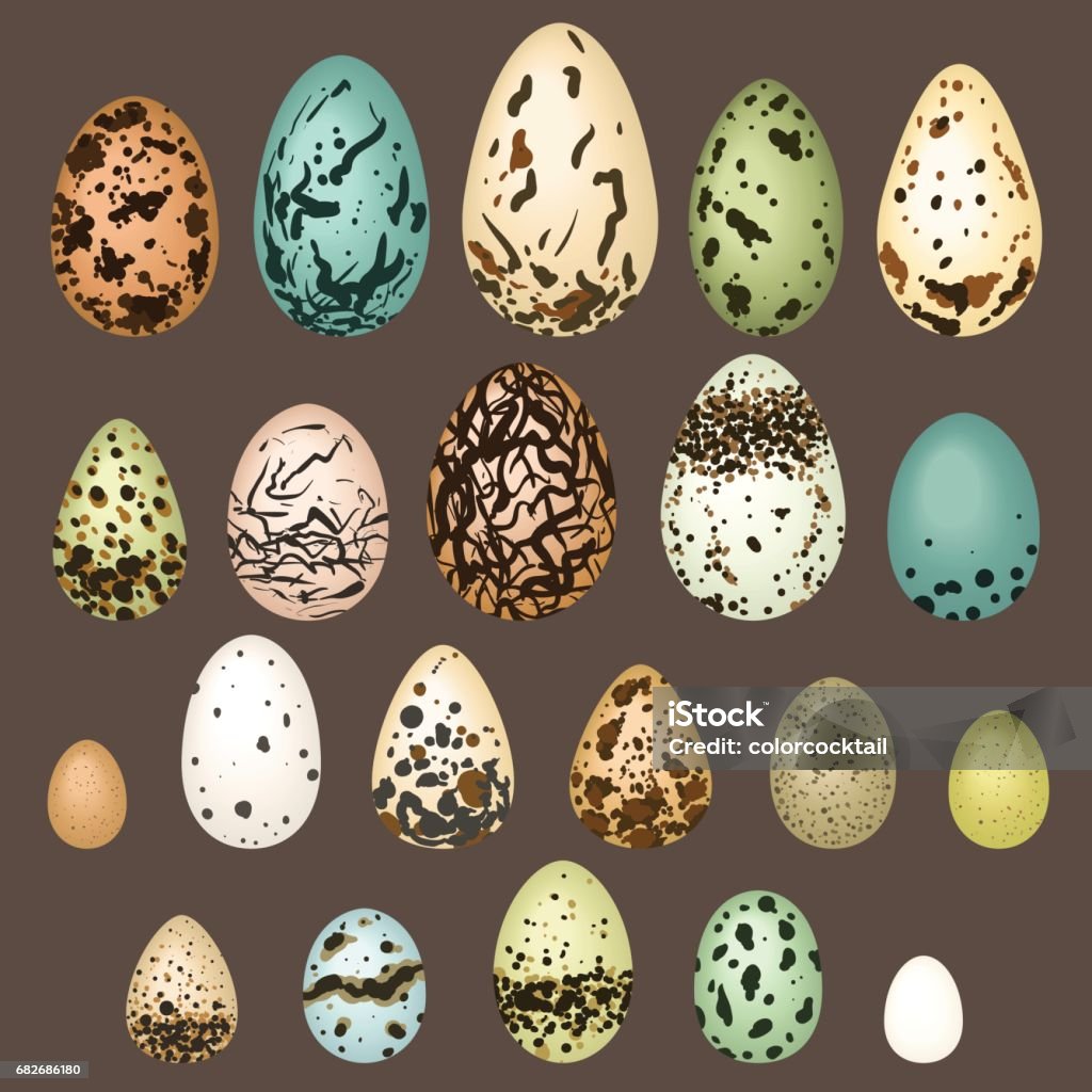 Different Eggs Types Stock Illustration - Download Image Now - Bird, Egg -  Food, Shape - iStock