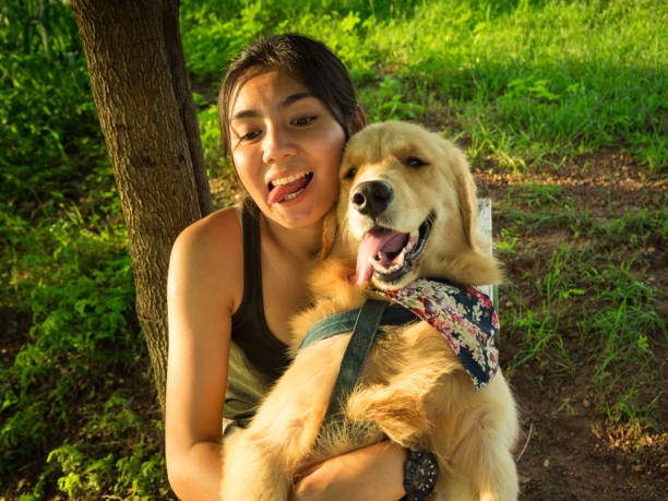 istock Asian woman and pet 682695598