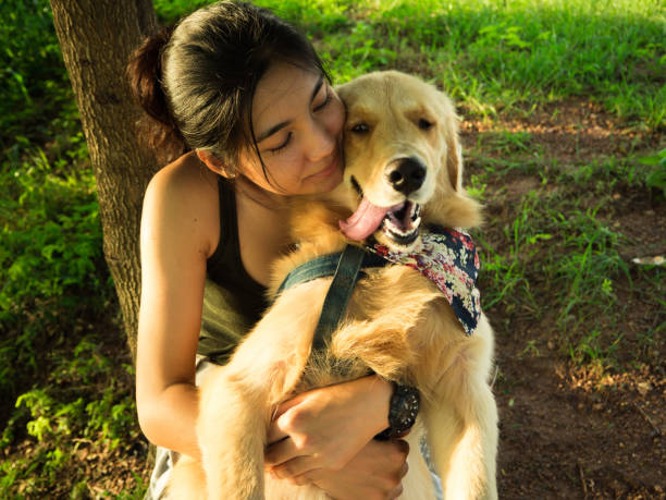 istock Asian woman and pet 682703898