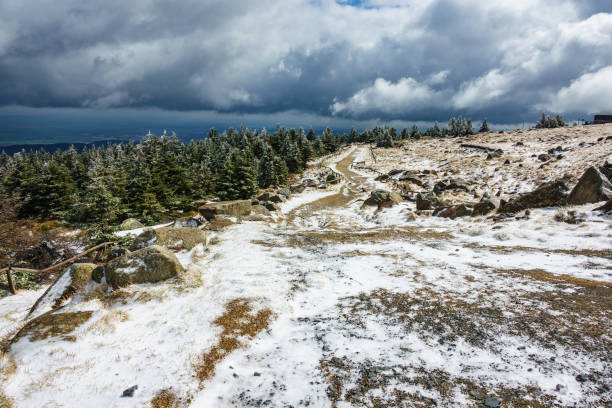 istock Landscape with trees in the Harz area, Germany 682707474