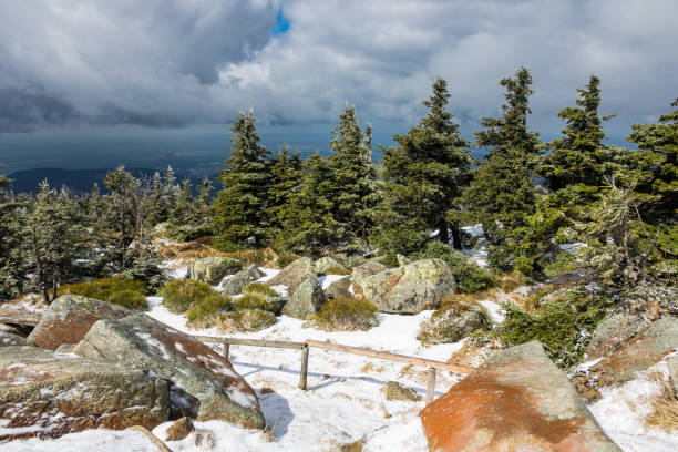 istock Landscape with trees in the Harz area, Germany 682707494